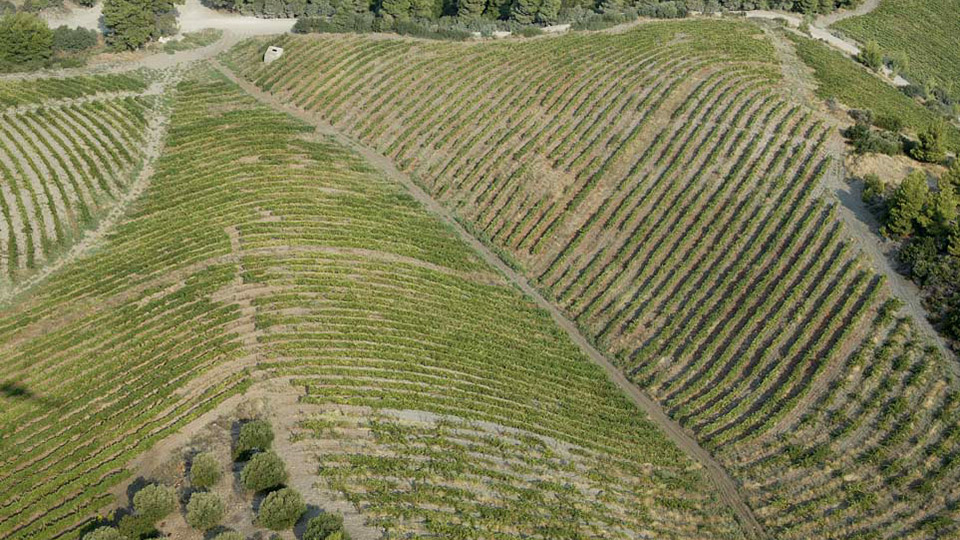 DomainePortoCarras17